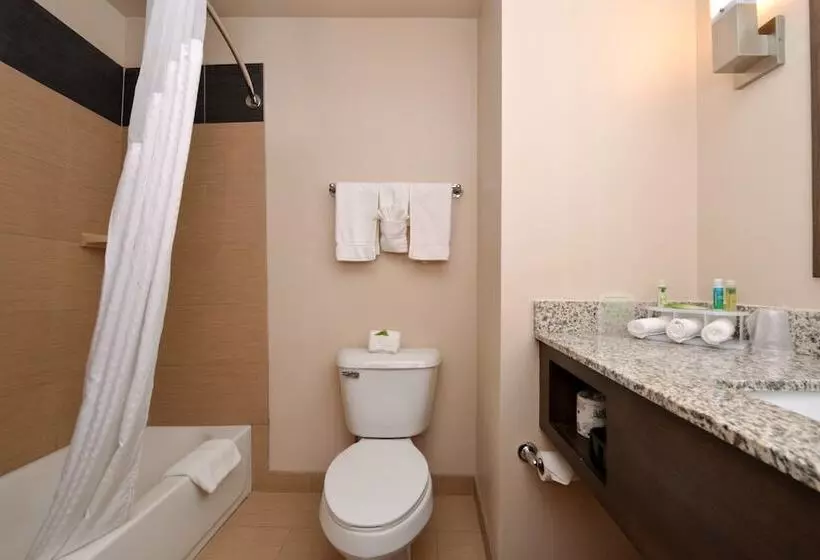 スイート, Holiday Inn Express & Suites Globe, An Ihg