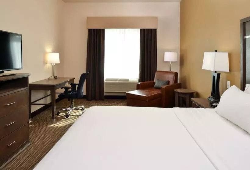 身障者適用スイートルーム, Holiday Inn Express & Suites Globe, An Ihg