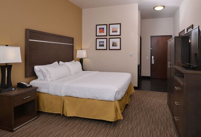 Suíte para Deficientes Físicos, Holiday Inn Express & Suites Globe, An Ihg