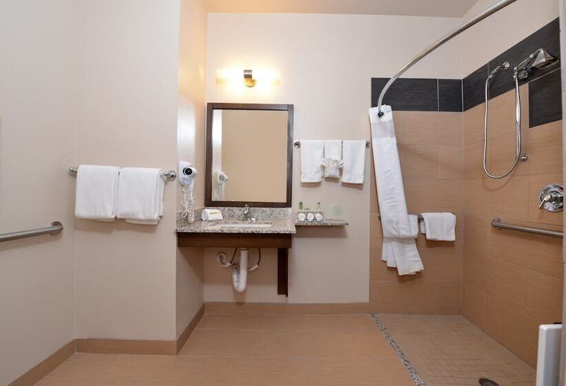 Люкс Адаптированный для Инвалидов, Holiday Inn Express & Suites Globe, An Ihg