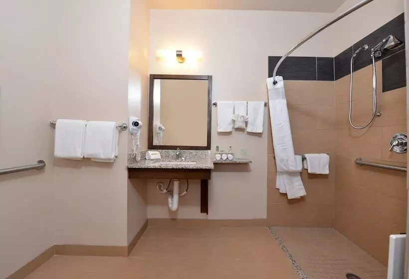 身障者適用スイートルーム, Holiday Inn Express & Suites Globe, An Ihg