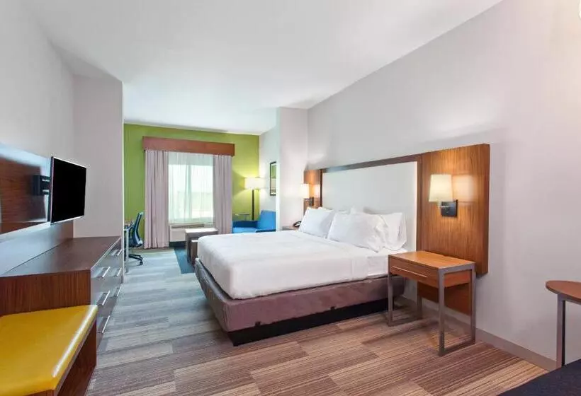 身障者適用スイートルーム, Holiday Inn Express & Suites Houston S   Medical Ctr Area, An Ihg