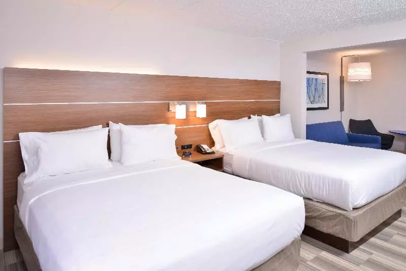 スイート, Holiday Inn Express & Suites Houston S   Medical Ctr Area, An Ihg