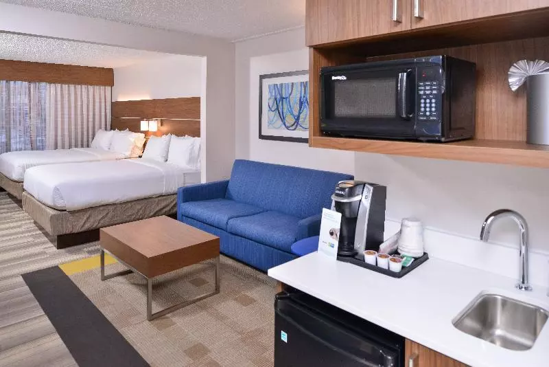 スイート, Holiday Inn Express & Suites Houston S   Medical Ctr Area, An Ihg