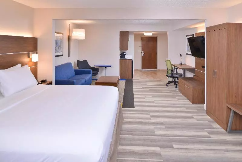 スイート, Holiday Inn Express & Suites Houston S   Medical Ctr Area, An Ihg