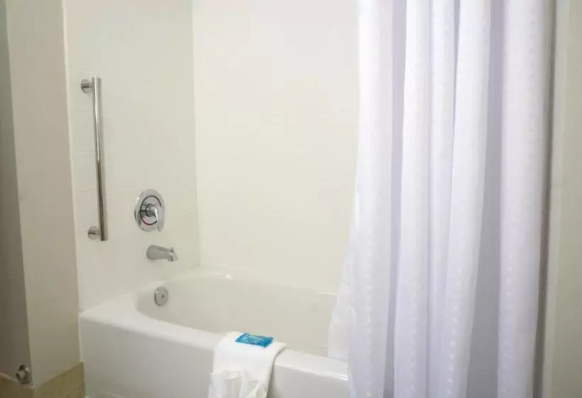 Standard-huone, Holiday Inn Express & Suites Omaha Millard Area, An Ihg