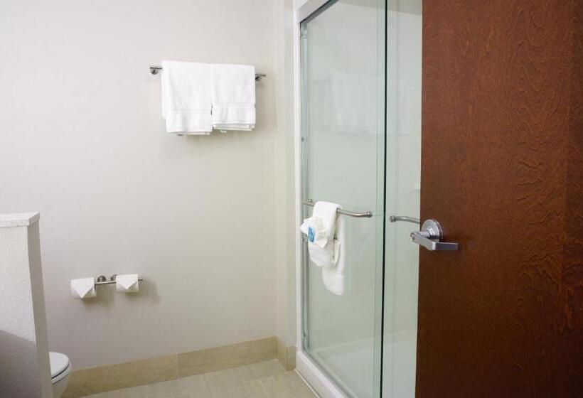 스위트 킹사이즈 침대, Holiday Inn Express & Suites Omaha Millard Area, An Ihg