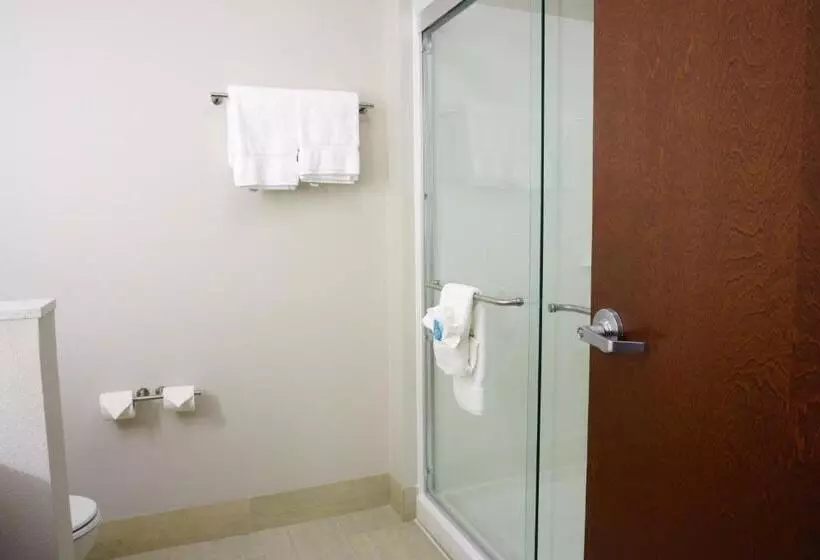 Sviitti King-vuode, Holiday Inn Express & Suites Omaha Millard Area, An Ihg