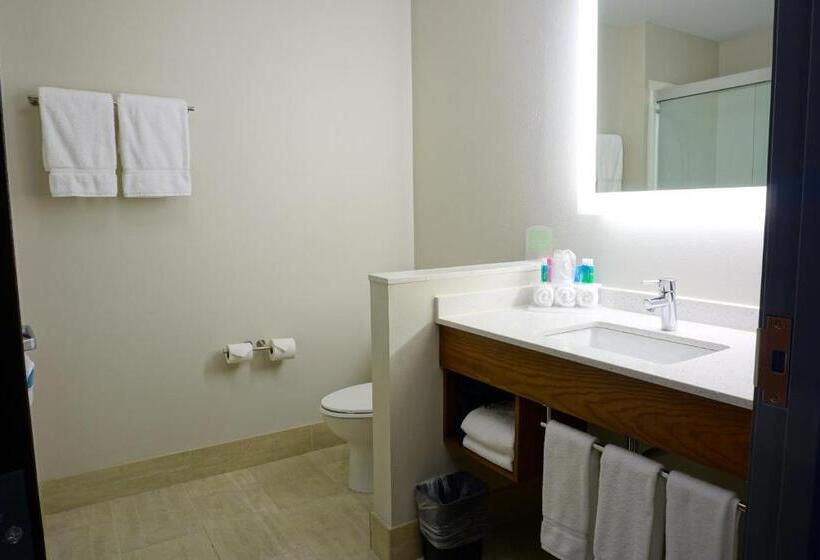 스위트 킹사이즈 침대, Holiday Inn Express & Suites Omaha Millard Area, An Ihg