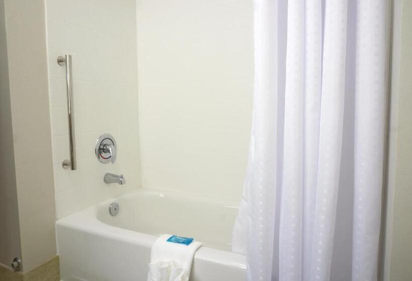 장애인을 위한 스탠다드 룸, Holiday Inn Express & Suites Omaha Millard Area, An Ihg