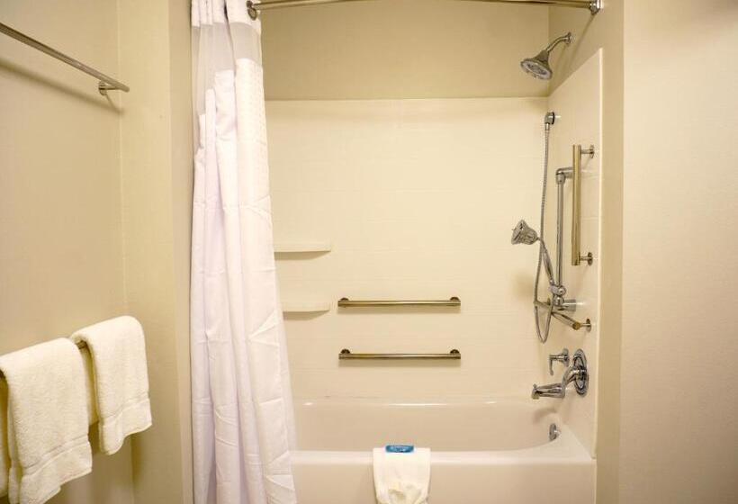 장애인을 위한 스탠다드 룸, Holiday Inn Express & Suites Omaha   Millard Area, An Ihg