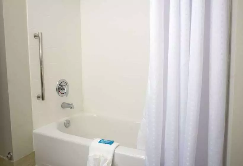 Sviitti, Holiday Inn Express & Suites Omaha Millard Area, An Ihg