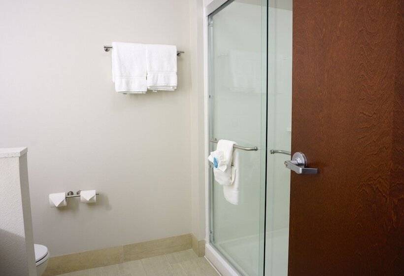 스위트, Holiday Inn Express & Suites Omaha   Millard Area, An Ihg