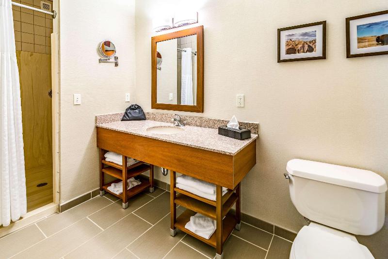Номер Стандарт Адаптированный для Инвалидов, Holiday Inn Express & Suites Toledo South   Perrysburg, An Ihg