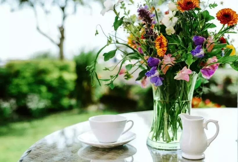 اتاق لوکس با چشم‌انداز دریا, The Sands B&b Rostrevor