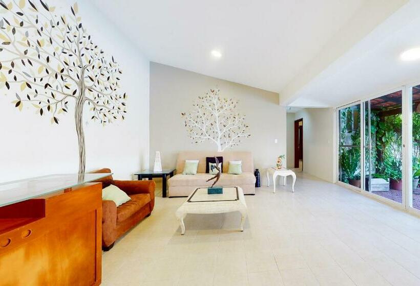 דירת שני חדרים, Mahahual 2