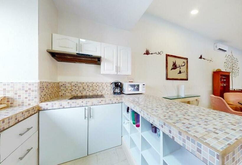 דירת שני חדרים, Mahahual 2