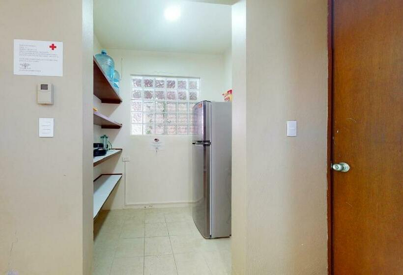 דירת שני חדרים, Mahahual 2