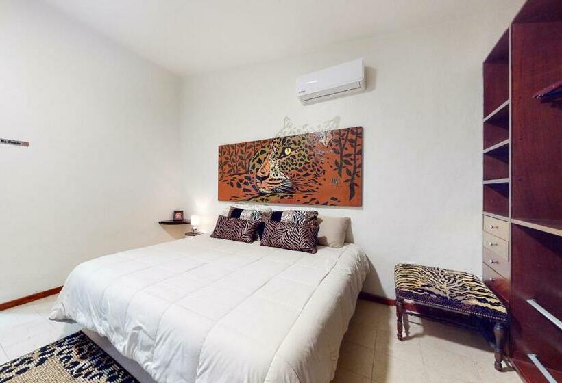 דירת שני חדרים, Mahahual 2