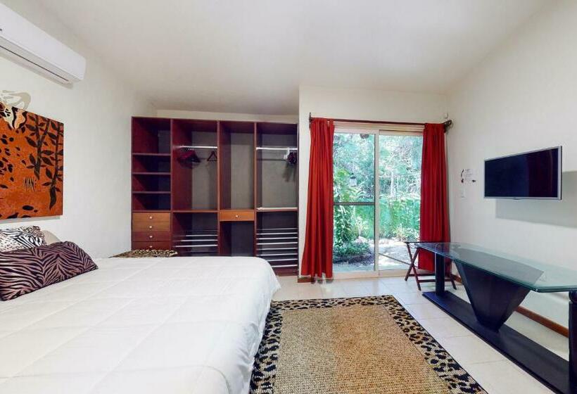 דירת שני חדרים, Mahahual 2