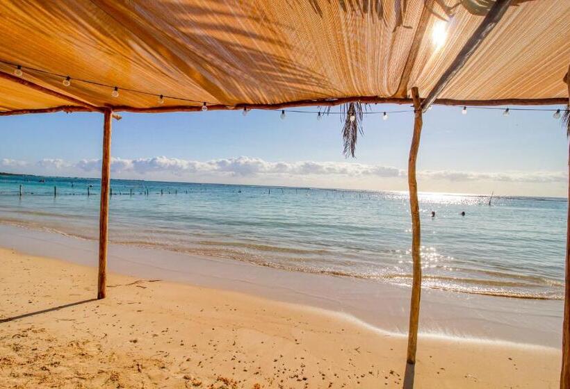 דירת שני חדרים, Mahahual 2