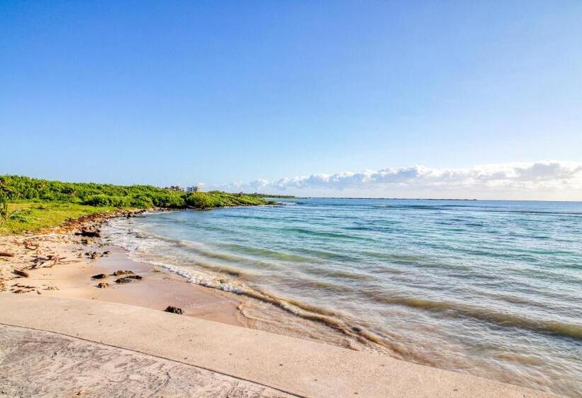 דירת שני חדרים, Mahahual 2