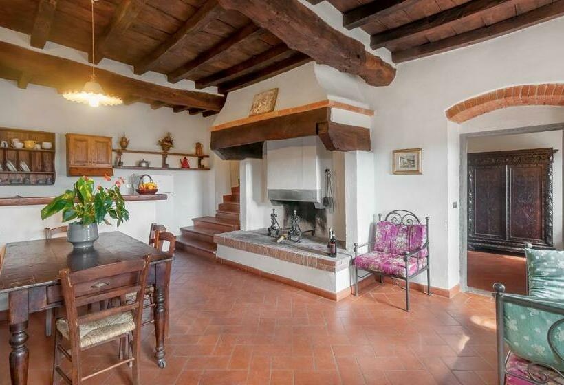 דירת חדר, Universal Harmony   Cardellino