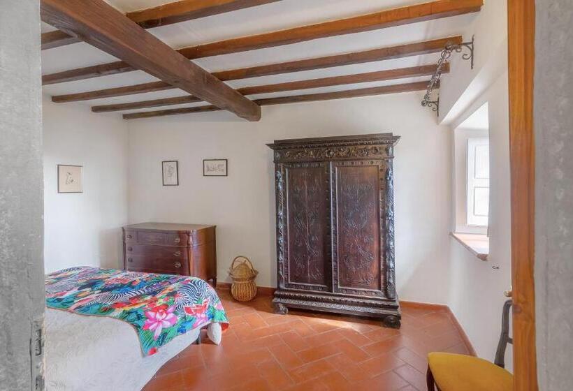 דירת חדר, Universal Harmony   Cardellino