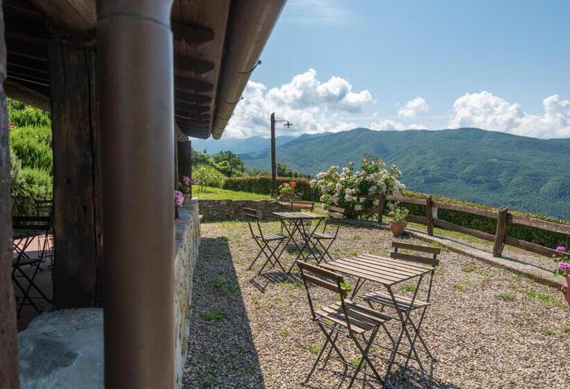 דירת חדר, Universal Harmony   Cardellino