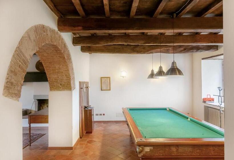 דירת חדר, Universal Harmony   Cardellino