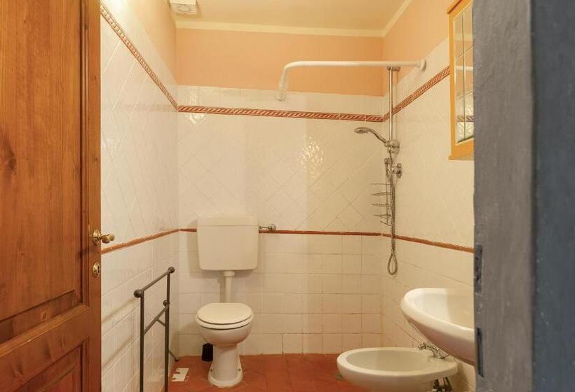 דירת חדר, Universal Harmony   Cardellino