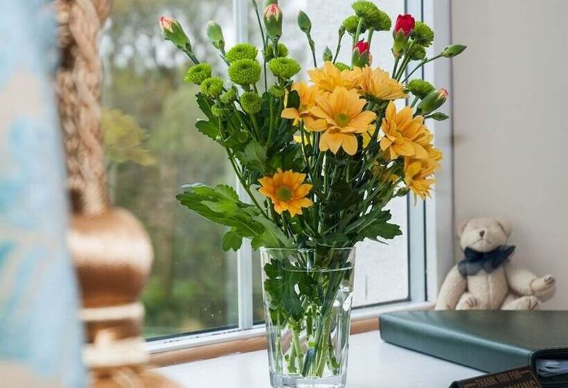 标准间, Poole Farm