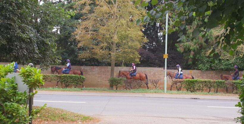 Апартаменты Deluxe 1 Спальня, Newmarket Boutique Apartments