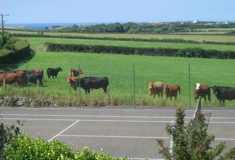 バルコニー付きデラックスルーム, Tregaddra Farm B&b