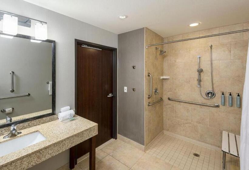 غرفة قياسية سرير كينج لذوى الإحتياجات الخاصة, Courtyard By Marriott Abilene Northeast