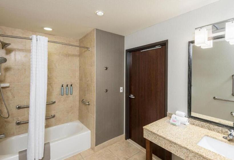 غرفة قياسية سرير كينج لذوى الإحتياجات الخاصة, Courtyard By Marriott Abilene Northeast