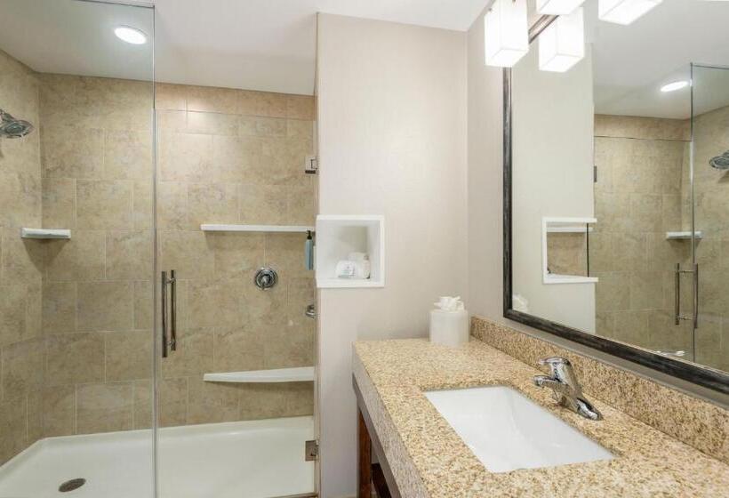 장애인을 위한 킹사이즈 침대 스탠다드 룸, Courtyard By Marriott Abilene Northeast
