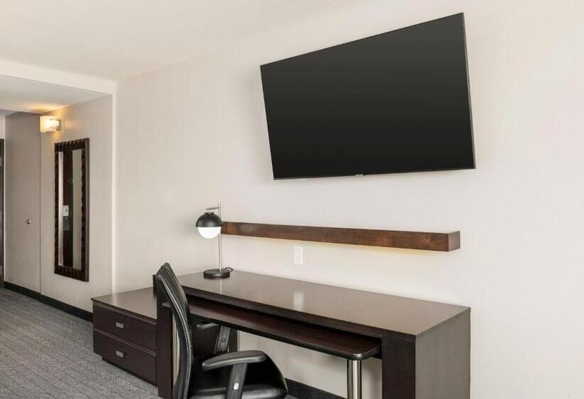 غرفة قياسية سرير كينج لذوى الإحتياجات الخاصة, Courtyard By Marriott Abilene Northeast