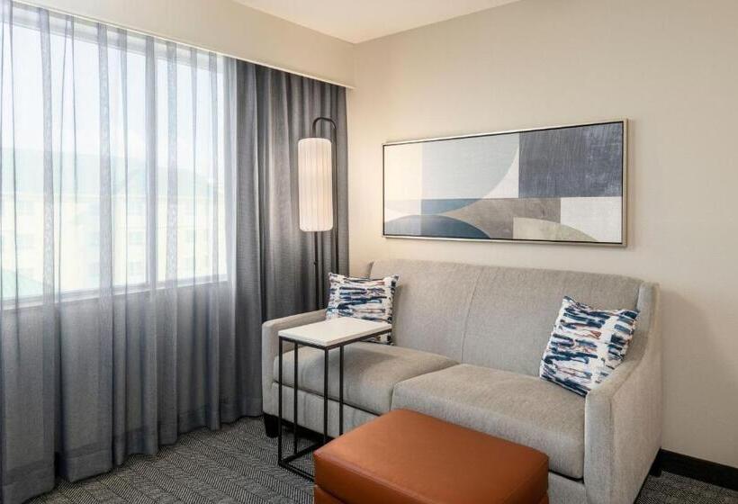 غرفة قياسية سرير كينج لذوى الإحتياجات الخاصة, Courtyard By Marriott Abilene Northeast