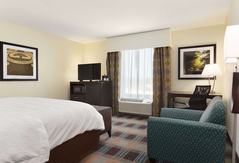 장애인을 위한 킹사이즈 침대 스탠다드 룸, Hampton Inn Fairmont