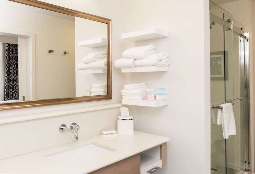 غرفة قياسية سرير كينج, Hampton Inn & Suites La Crosse Downtown