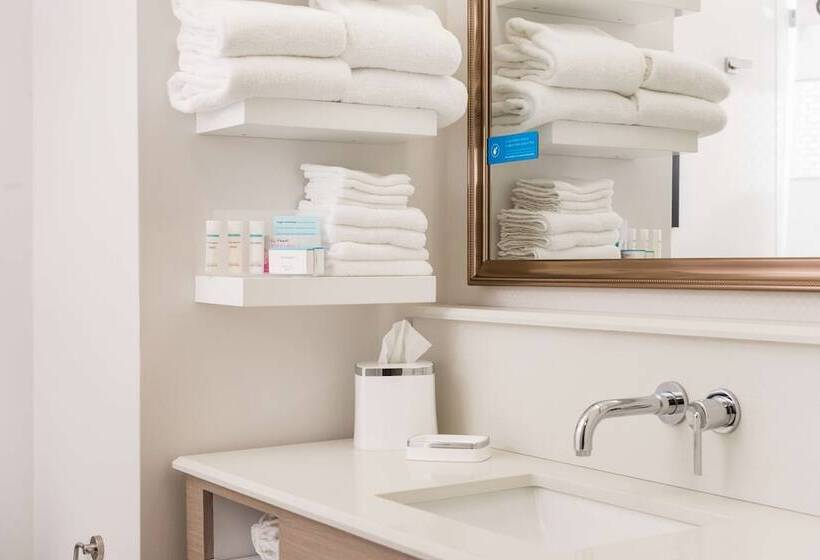 غرفة قياسية سرير كينج, Hampton Inn & Suites La Crosse Downtown