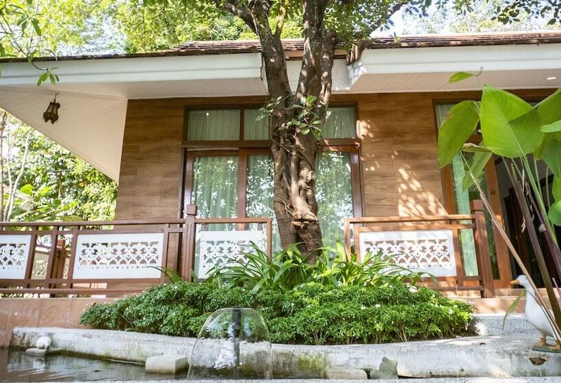 سوییت, Lubee Chiang Mai