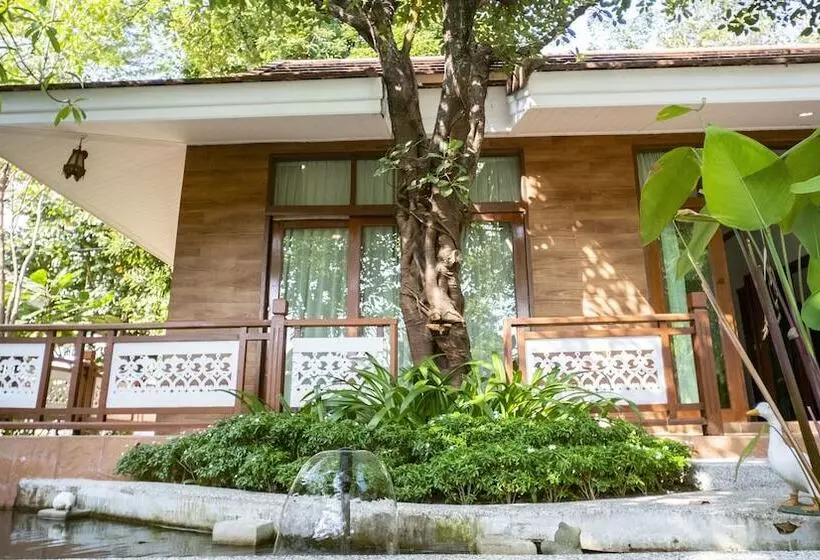 سوییت, Lubee Chiang Mai