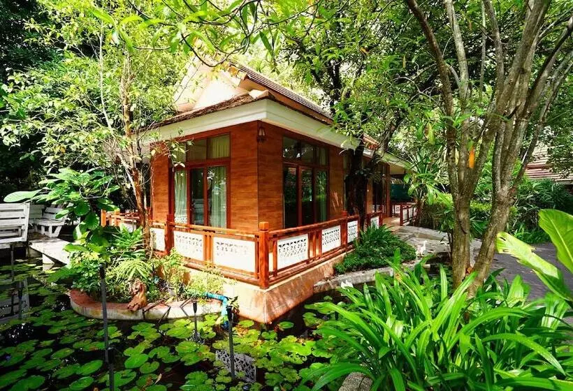 سوییت, Lubee Chiang Mai