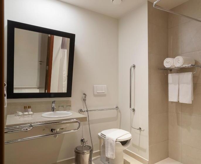 Standart Oda, Tulip Inn Sete Lagoas