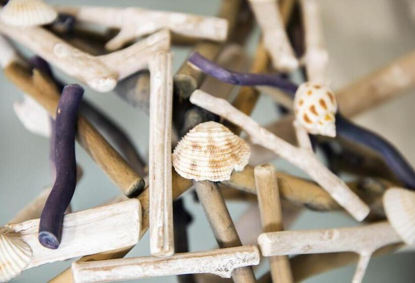 إستوديو قياسى مطل على البحر, Windjammer Resort And Beach Club