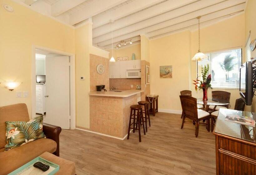 شقة غرفة واحدة مزودة بتراس, Windjammer Resort And Beach Club