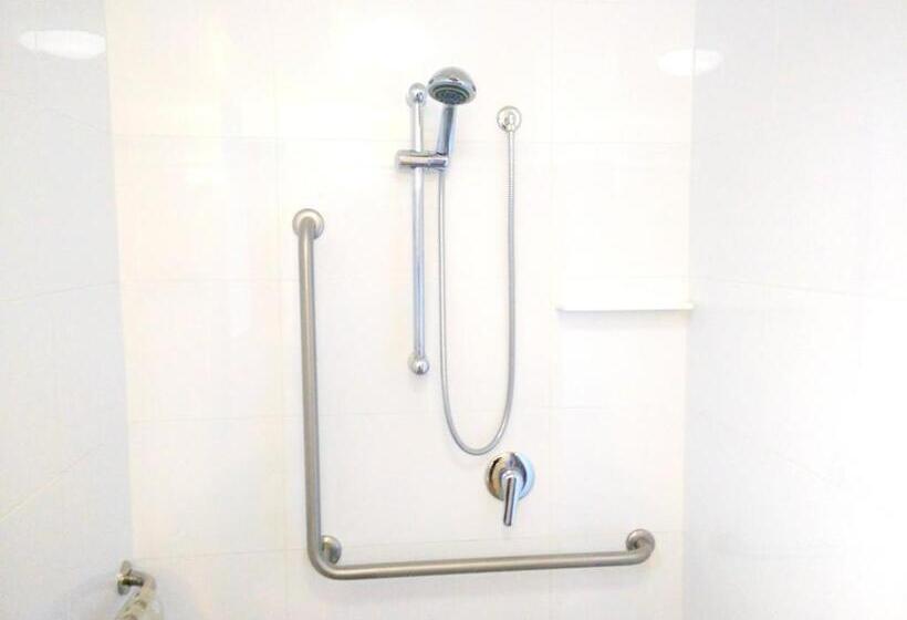 غرفة قياسية لذوى الاحتياجات الخاصة, Airport Palms Motel