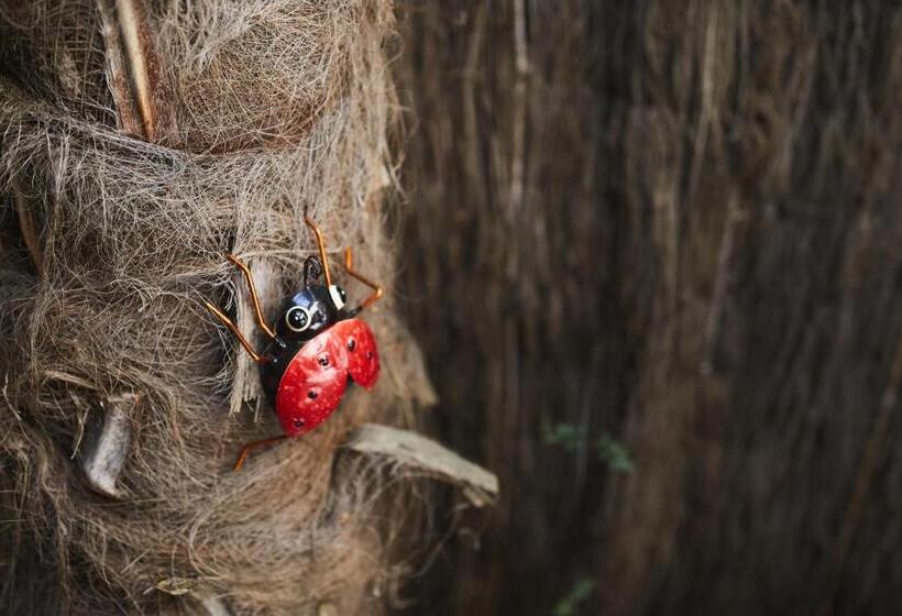 סוויטה עם ג'קוזי, Blenheim Palms Motel